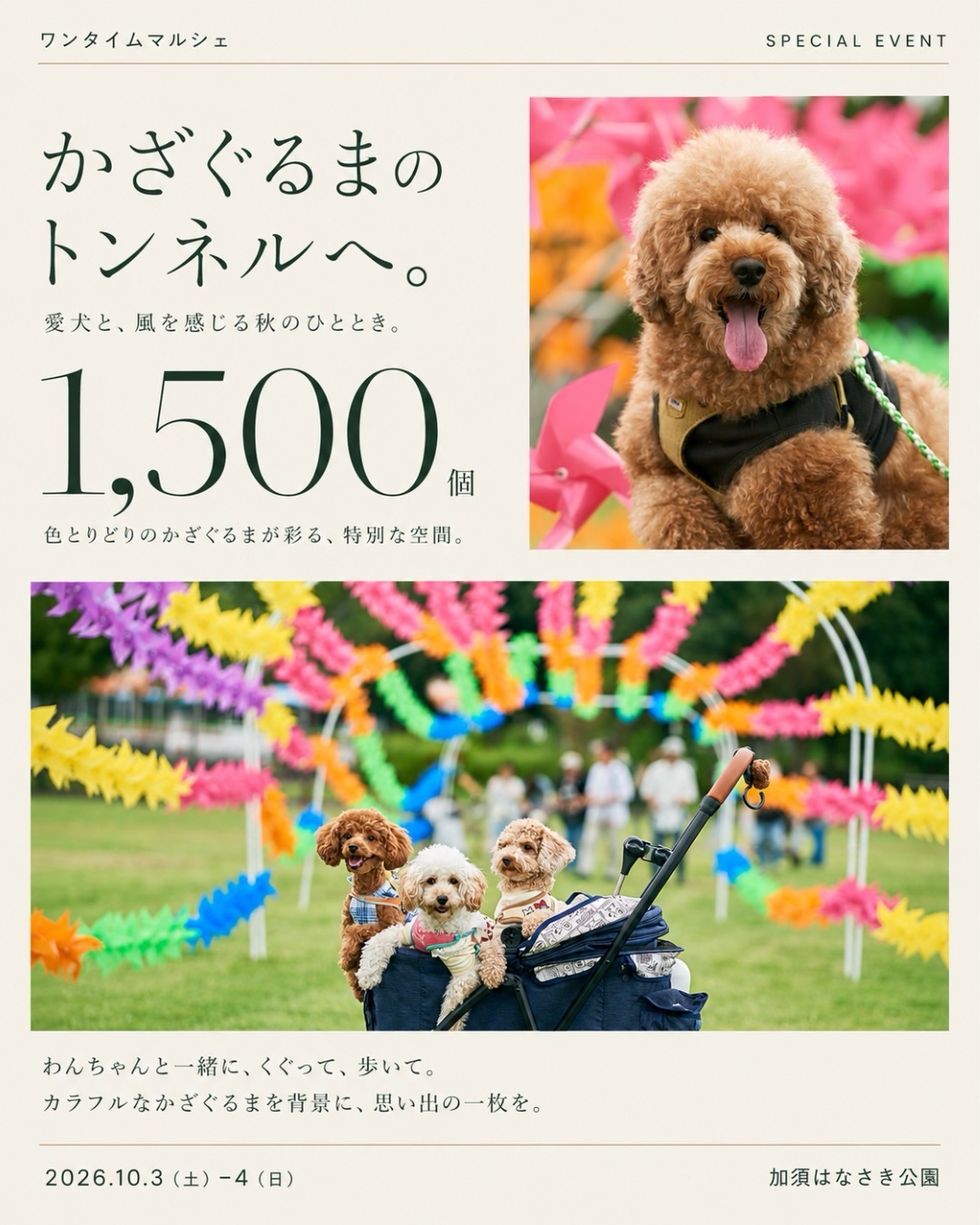ワンタイムマルシェ 風ぐるまトンネル
